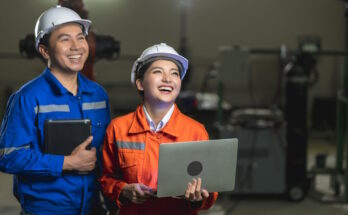 2025 New Zealand Job Openings in Healthcare & Engineering for Skilled Workers